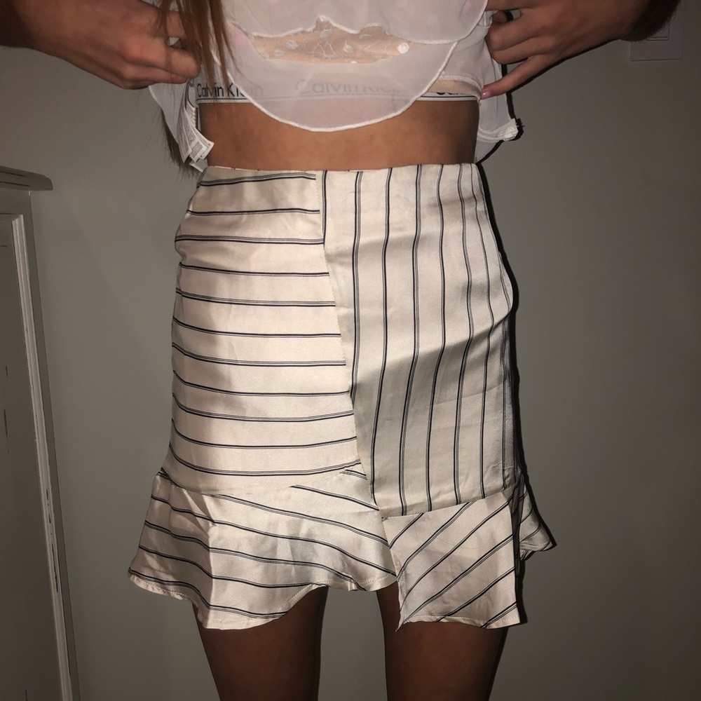 Skirt from Revolve